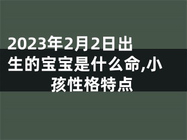 2023年2月2日出生的宝宝是什么命,小孩性格特点