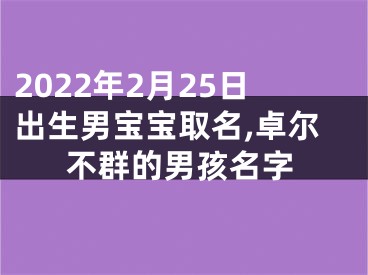 2022年2月25日出生男宝宝取名,卓尔不群的男孩名字