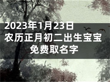 2023年1月23日农历正月初二出生宝宝免费取名字