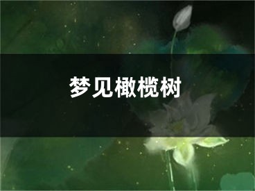 梦见橄榄树