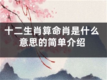 十二生肖算命肖是什么意思的简单介绍