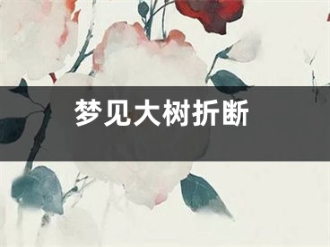 梦见大树折断