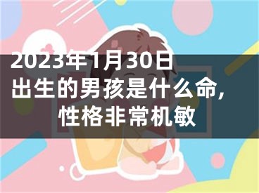 2023年1月30日出生的男孩是什么命,性格非常机敏