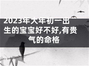 2023年大年初一出生的宝宝好不好,有贵气的命格