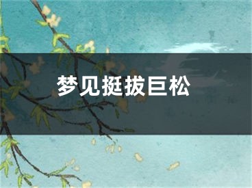 梦见挺拔巨松