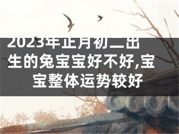 2023年正月初二出生的兔宝宝好不好,宝宝整体运势较好