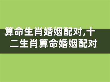 算命生肖婚姻配对,十二生肖算命婚姻配对