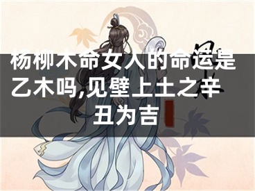 杨柳木命女人的命运是乙木吗,见壁上土之辛丑为吉