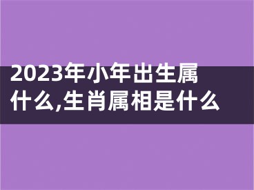 2023年小年出生属什么,生肖属相是什么