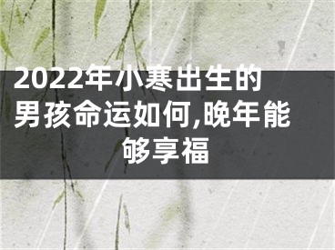 2022年小寒出生的男孩命运如何,晚年能够享福