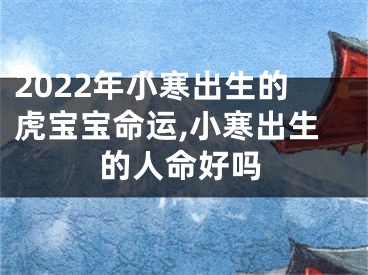 2022年小寒出生的虎宝宝命运,小寒出生的人命好吗