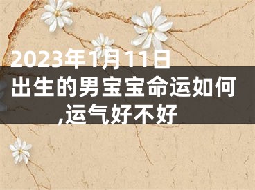 2023年1月11日出生的男宝宝命运如何,运气好不好