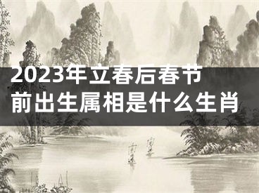 2023年立春后春节前出生属相是什么生肖