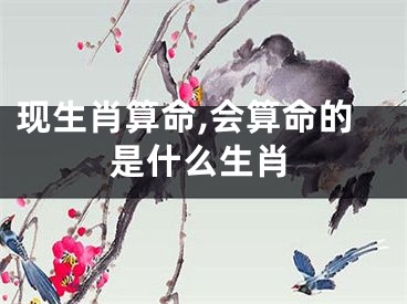 现生肖算命,会算命的是什么生肖