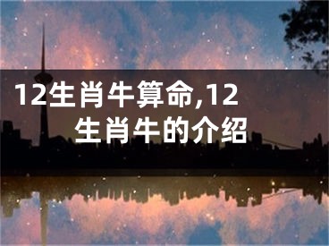 12生肖牛算命,12生肖牛的介绍