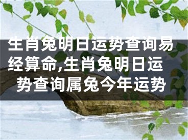 生肖兔明日运势查询易经算命,生肖兔明日运势查询属兔今年运势