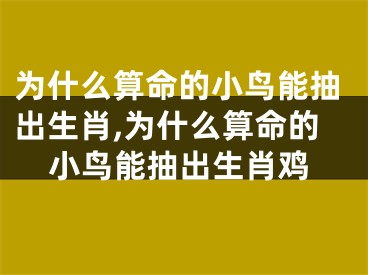 为什么算命的小鸟能抽出生肖,为什么算命的小鸟能抽出生肖鸡