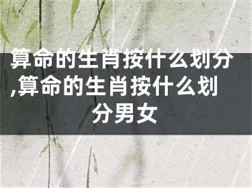 算命的生肖按什么划分,算命的生肖按什么划分男女