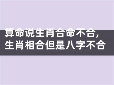 算命说生肖合命不合,生肖相合但是八字不合