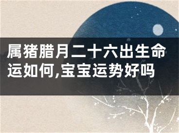 属猪腊月二十六出生命运如何,宝宝运势好吗