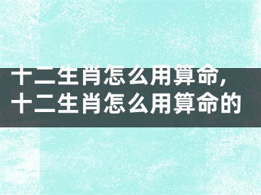 十二生肖怎么用算命,十二生肖怎么用算命的