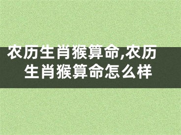 农历生肖猴算命,农历生肖猴算命怎么样