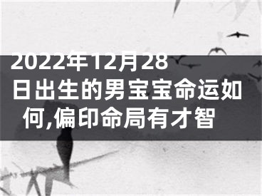 2022年12月28日出生的男宝宝命运如何,偏印命局有才智