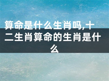 算命是什么生肖吗,十二生肖算命的生肖是什么