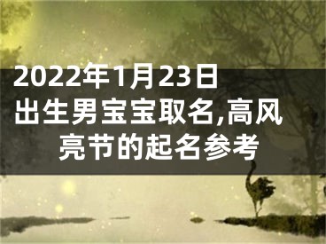 2022年1月23日出生男宝宝取名,高风亮节的起名参考