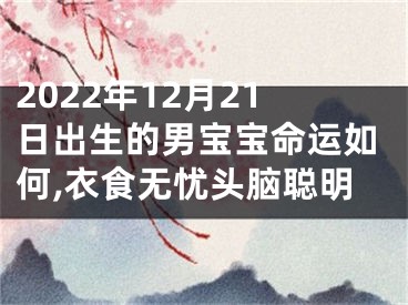 2022年12月21日出生的男宝宝命运如何,衣食无忧头脑聪明