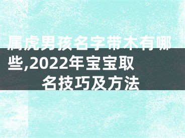 属虎男孩名字带木有哪些,2022年宝宝取名技巧及方法