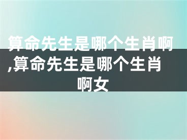 算命先生是哪个生肖啊,算命先生是哪个生肖啊女