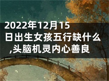 2022年12月15日出生女孩五行缺什么,头脑机灵内心善良