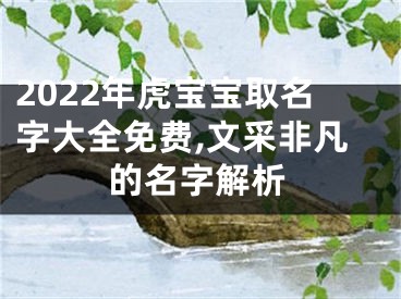 2022年虎宝宝取名字大全免费,文采非凡的名字解析