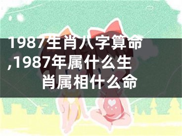 1987生肖八字算命,1987年属什么生肖属相什么命