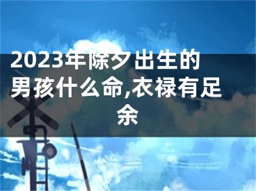 2023年除夕出生的男孩什么命,衣禄有足余