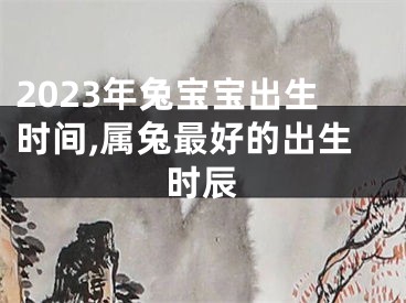 2023年兔宝宝出生时间,属兔最好的出生时辰