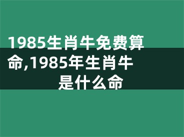 1985生肖牛免费算命,1985年生肖牛是什么命