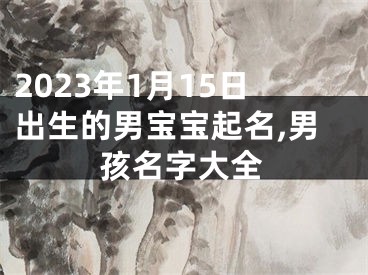 2023年1月15日出生的男宝宝起名,男孩名字大全