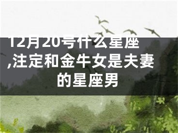 12月20号什么星座,注定和金牛女是夫妻的星座男