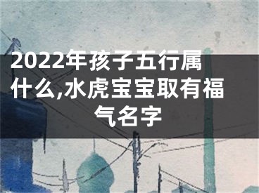 2022年孩子五行属什么,水虎宝宝取有福气名字