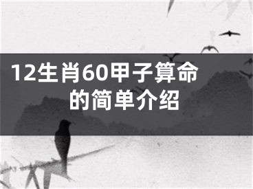 12生肖60甲子算命的简单介绍