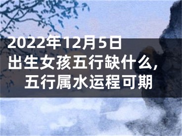 2022年12月5日出生女孩五行缺什么,五行属水运程可期