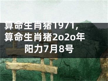 算命生肖猪1971,算命生肖猪2o2o年阳力7月8号