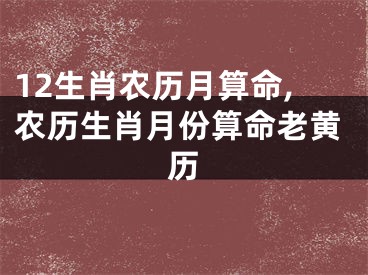 12生肖农历月算命,农历生肖月份算命老黄历