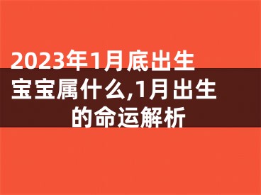 2023年1月底出生宝宝属什么,1月出生的命运解析