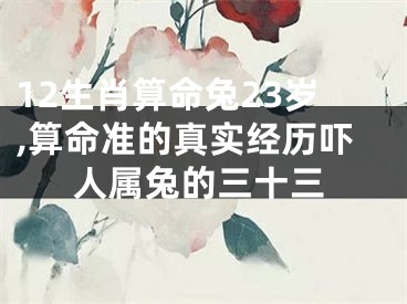 12生肖算命兔23岁,算命准的真实经历吓人属兔的三十三