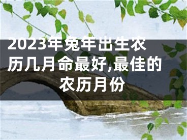 2023年兔年出生农历几月命最好,最佳的农历月份