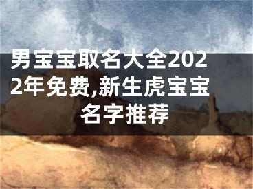 男宝宝取名大全2022年免费,新生虎宝宝名字推荐