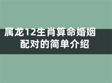 属龙12生肖算命婚姻配对的简单介绍